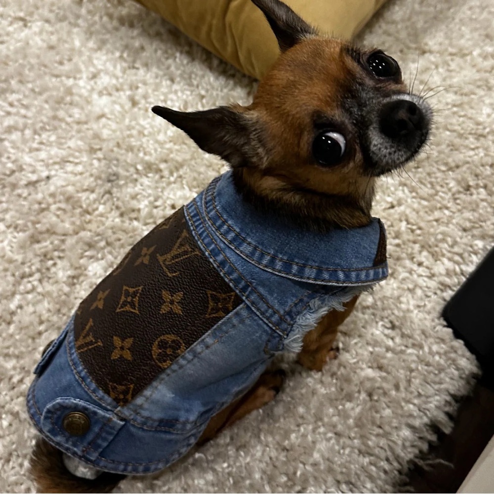 Denim Dog Jacket
